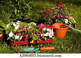 gardening gardening