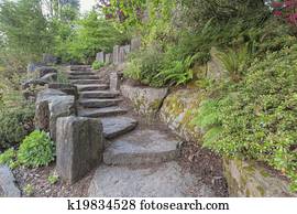 Landscaped, kleingarten, und, stein, gepflastert, zufahrt Stock Bild