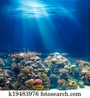 Sea or ocean underwater coral reef snorkeling or diving background