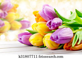 tulips tulips