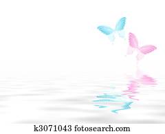 Butterfly Butterfly