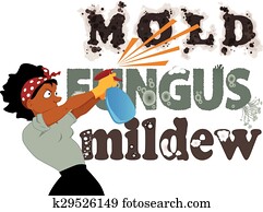Fighting mold, fungus and mildew Fighting mold, fungus and mildew