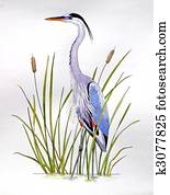 Great Blue Heron Great Blue Heron