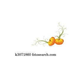 Pumpkin Pumpkin