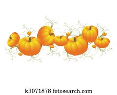 Pumpkin Pumpkin