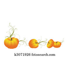 Pumpkin Pumpkin