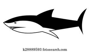 Shark Shark