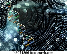 בינארי, מנהרה, ו, סיב של די.אנ.אי