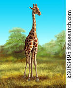 Giraffe Giraffe