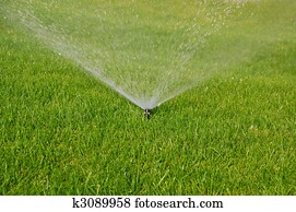 Automatisch, sprinkler, bewässerung, garten Stock Bild | k25041760