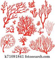 Set of underwater coral reef plants. Set of underwater coral reef plants.