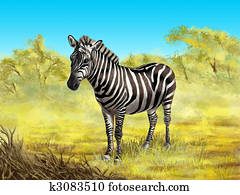 Zebra Zebra