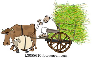 איש נוהג, a, חציר, עגלה