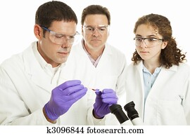 Group of Forensic Scientists