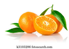 fresh mandarine fruits with cut and green leaves