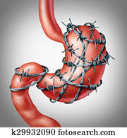 Stomach Pain Stomach Pain