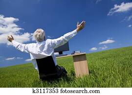 Businessman Celebrating Arms Raised At Desk In Green Field