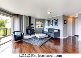 luxo, casa, interior., sala, com, antigüidade, fogão