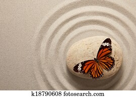 Zen rock with butterfly Zen rock with butterfly