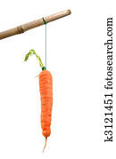 Carrot on a stick Carrot on a stick