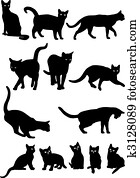 Cats Cats