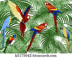 Parrot bird Parrot bird