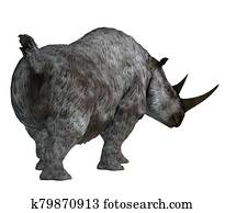 Woolly Rhinoceros Stock Illustrations | Our Top 43 Woolly Rhinoceros