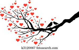 להתנשק, צפרים