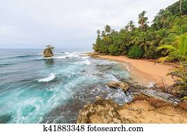 idyllic, praia, manzanillo, costa rica