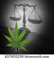 Legal Marijuana Concept Legal Marijuana Concept