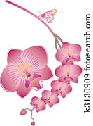 vector orchid vector orchid