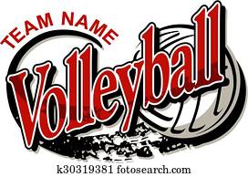 voleibol