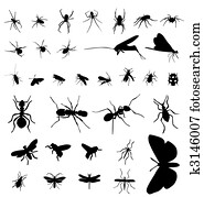 inseto, silhuetas, cobrança