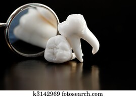 wisdom teeth wisdom teeth