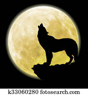 צללית, של, a, זאב, לפני, ט.