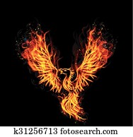 Fire burning Phoenix Bird Fire burning Phoenix Bird