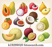 Set of exotic fruit Set of exotic fruit