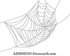 Spider web Spider web
