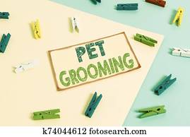 Writing note showing Pet Grooming. Business photo showcasing hygienic care and enhancing the appearance of the pets Colored clothespin paper reminder with yellow blue background. Writing note showing Pet Grooming. Business photo showcasing hygienic care and enhancing the appearance of the pets Colored clothespin paper reminder with yellow blue background.
