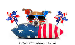4 de julho, dia independência, cão