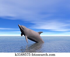Dolphin Dolphin