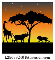 Night in the African savanna Night in the African savanna