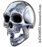 skull skull