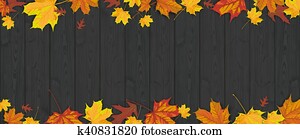 Dark Wood Autumn Foliage Header Dark Wood Autumn Foliage Header