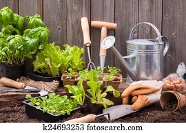 Gardening Gardening