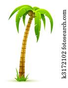 palm tree