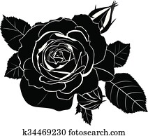 rosen rosen