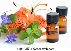 óleos essenciais, para, aromatherapy