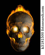Skull Skull