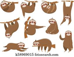 漫画 ナマケモノ Seamless Pattern かわいい Sloths 上に トロピカル Lianas Branches 怠け者である ジャングル 動物 において Rainforest 木 ベクトル 背景 クリップアート 切り張り イラスト 絵画 集 K Fotosearch